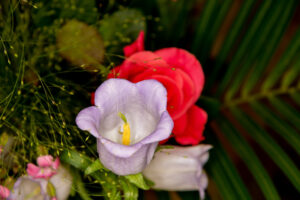 088-2019-06-16 Bloemetje van Iris