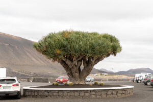 090-2019-12-11 Weekje Lanzarote
