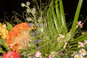 095-2019-06-16 Bloemetje van Iris