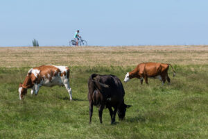 101-2018-07-03 Gert en Renate trouwen