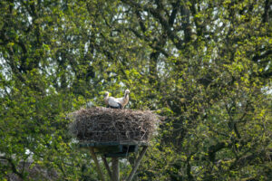 101-2019-06-10 Weekendje Dwingeloo