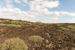 108-2019-12-11 Weekje Lanzarote