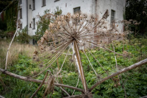 114-2018-09-16 Urbex Belgie met Frank en Iris