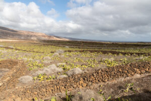 123-2019-12-12 Weekje Lanzarote