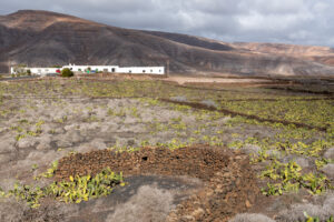 124-2019-12-12 Weekje Lanzarote