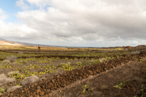 125-2019-12-12 Weekje Lanzarote