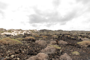 132-2019-12-12 Weekje Lanzarote