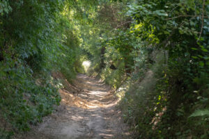 2018-07-14 Limburg grotten zoeken - 20180714-2646-153033