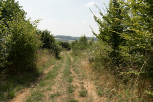 2018-07-14 Limburg grotten zoeken - 20180714-2646-153038