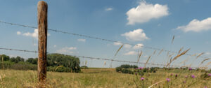 2018-07-14 Limburg grotten zoeken - 20180714-2647-153067-bewerkt