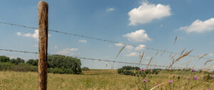 2018-07-14 Limburg grotten zoeken - 20180714-2647-153067-bewerkt-bewerkt