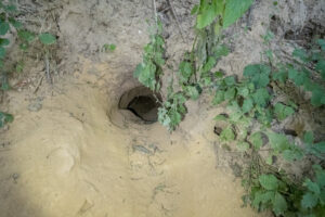 2018-07-14 Limburg grotten zoeken - 20180714-2647-153071