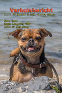 2018-07-22 Hoek van Holland met de puppies - 20180722-2653-153740-bewerkt-2