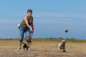 2018-07-22 Hoek van Holland met de puppies - 20180722-2653-154002