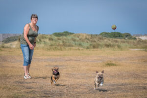2018-07-22 Hoek van Holland met de puppies - 20180722-2653-154195