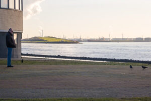 2019-11-30 Hoek van Holland en Etentje Jan en Wil - 20191130-2801-172888