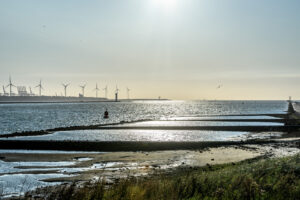 001-2017-08-17 Avondwandeling Hoek van Holland