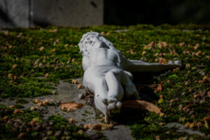 001-2017-09-15 Brugge eo