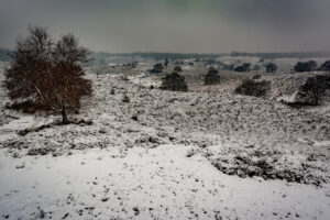 003-2016-02-14 Arnhem eo