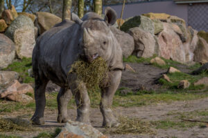 003-2016-02-28 Dierentuin