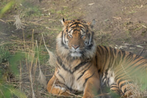 004-2016-02-28 Dierentuin