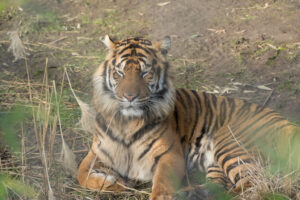 005-2016-02-28 Dierentuin