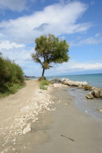 005-2016-09-07 Corfu