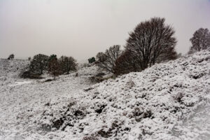 006-2016-02-14 Arnhem eo