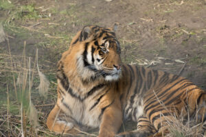 006-2016-02-28 Dierentuin