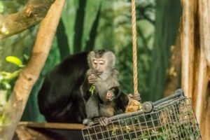 007-2016-02-28 Dierentuin
