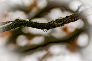 008-2016-02-14 Arnhem eo
