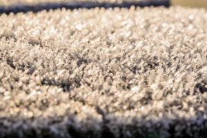 008-2016-12-04 Winterlandschap