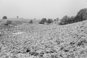 009-2016-02-14 Arnhem eo