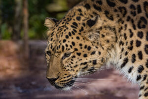 010-2016-02-28 Dierentuin