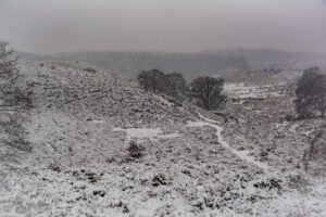 011-2016-02-14 Arnhem eo