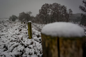 013-2016-02-14 Arnhem eo