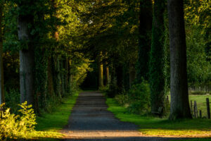 013-2017-09-15 Brugge eo