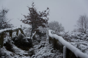 014-2016-02-14 Arnhem eo