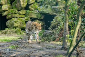 014-2016-02-28 Dierentuin