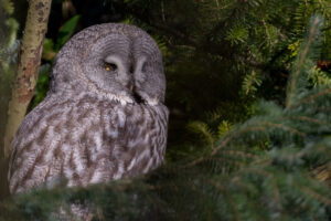 015-2016-02-28 Dierentuin