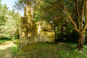 015-2017-05-17 Corfu