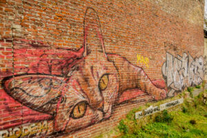 017-2016-01-31 Doel en Carnaval Graveyard