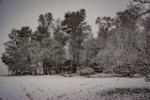017-2016-02-14 Arnhem eo