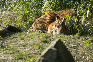 019-2016-02-28 Dierentuin