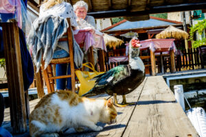 019-2016-04-26 Corfu Kasiopi