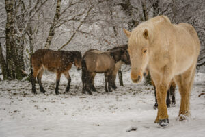 020-2016-02-14 Arnhem eo