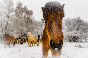 021-2016-02-14 Arnhem eo