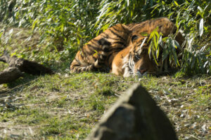 021-2016-02-28 Dierentuin