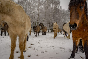 022-2016-02-14 Arnhem eo