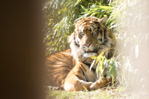 022-2016-02-28 Dierentuin